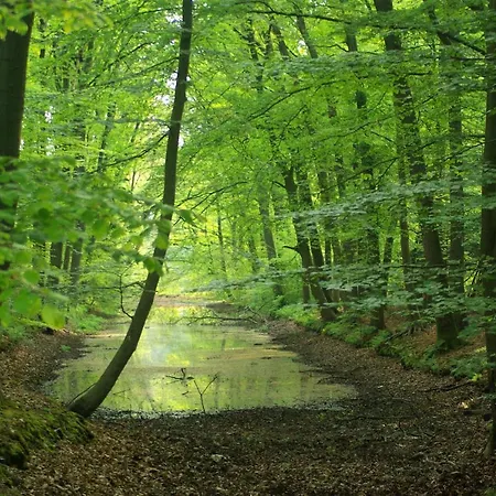 Luxe Vakantiehuis Oude Vos Veluwe *